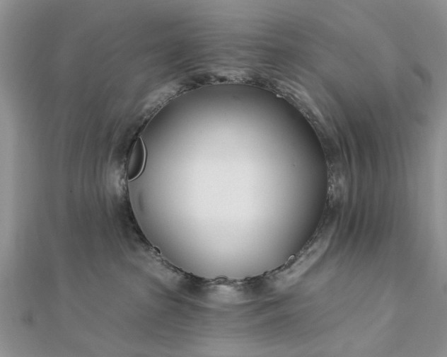 X0000112460285200908311335