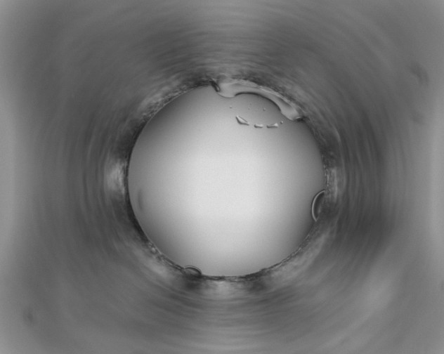 X0000112460286200908311335