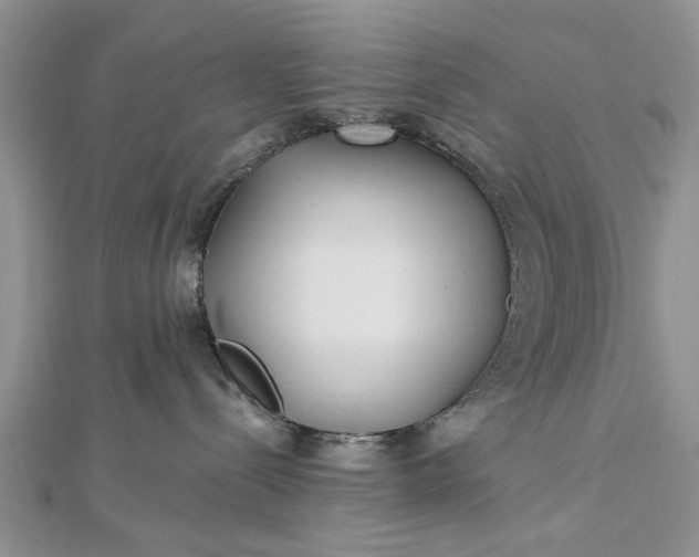 X0000112460288200908311335