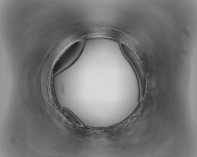 X0000112460289200908311335