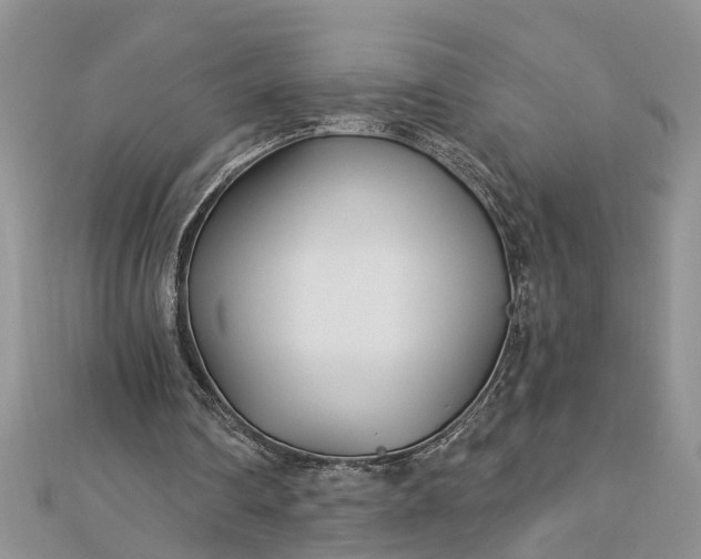 X0000112460290200908311335