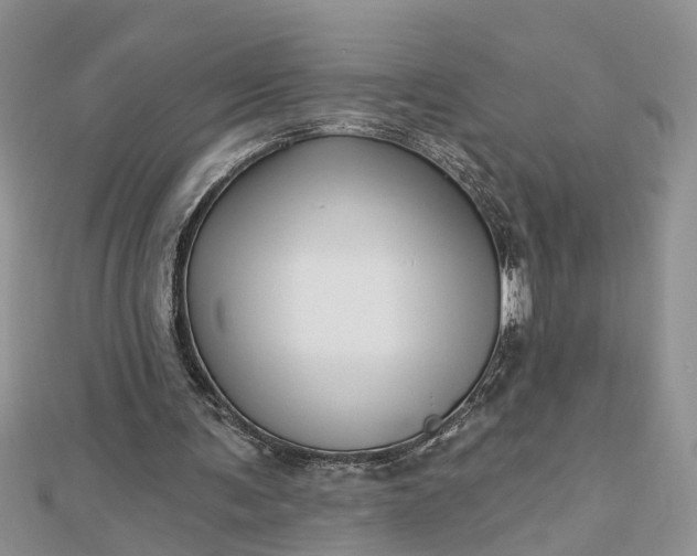 X0000112460291200908311335