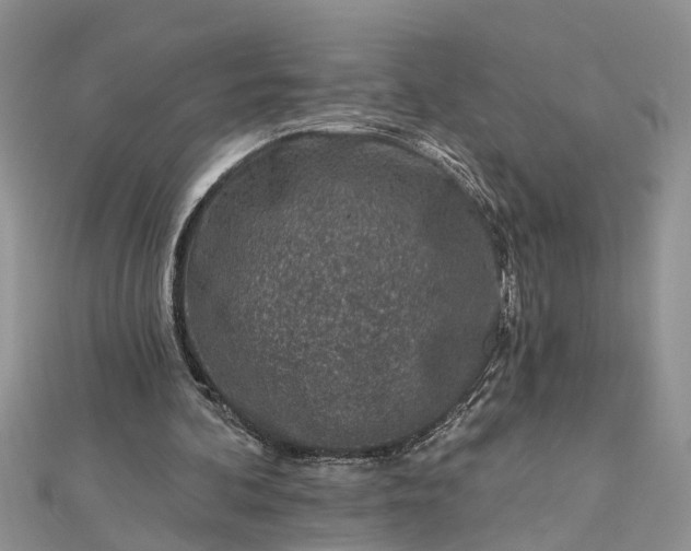 X0000112460292200908311335