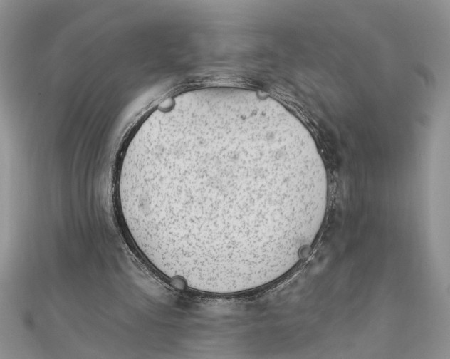 X0000112460293200908311335