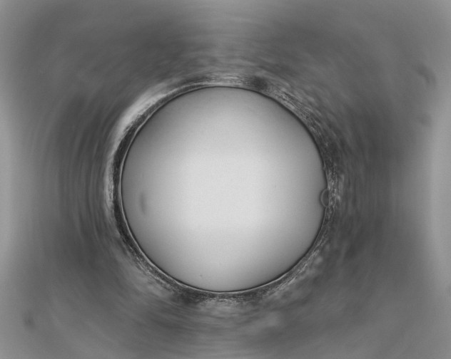 X0000112460294200908311335