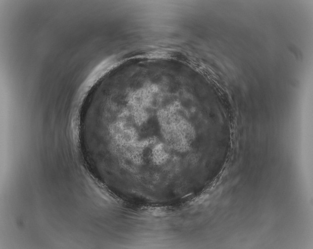 X0000112460295200908311335