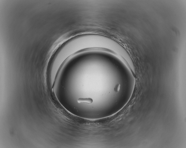 X0000112460296200908311335