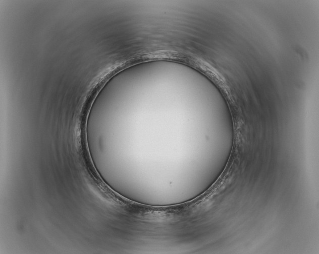 X0000112460298200908311335