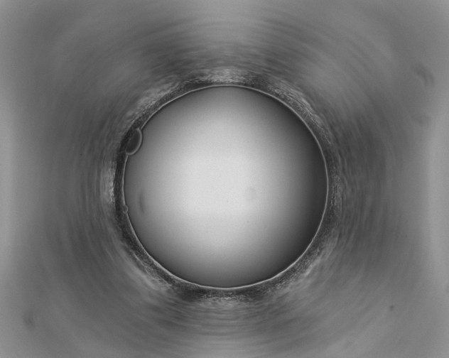 X0000112460299200908311335