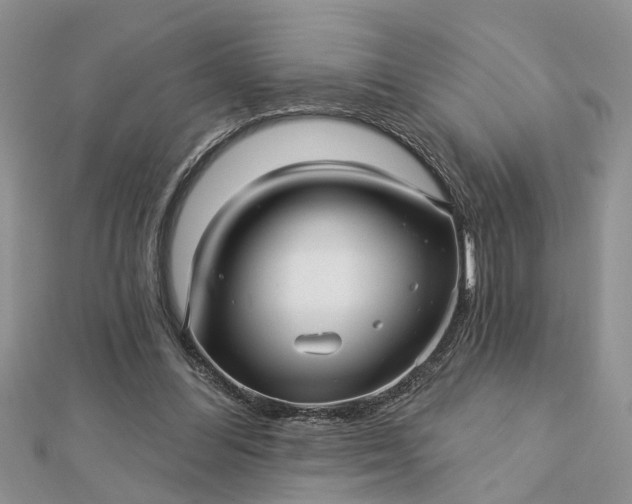 X0000112460300200908311335