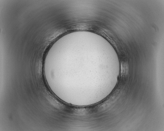 X0000112460301200908311335