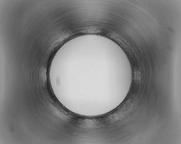 X0000112460302200908311335