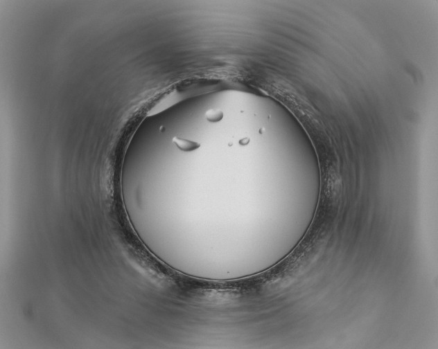 X0000112460303200908311335