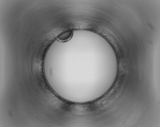 X0000112460305200908311335