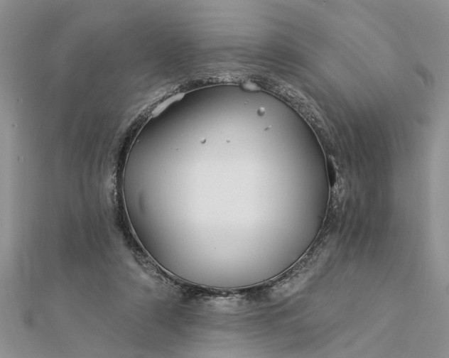 X0000112460306200908311335