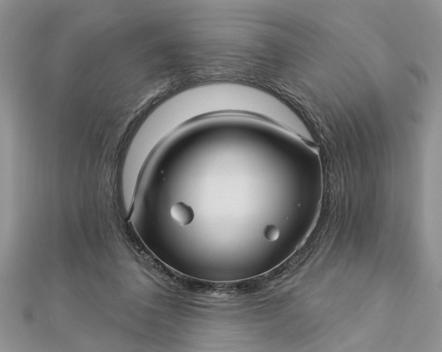 X0000112460308200908311335