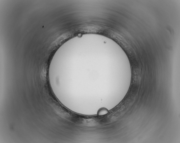 X0000112460309200908311335