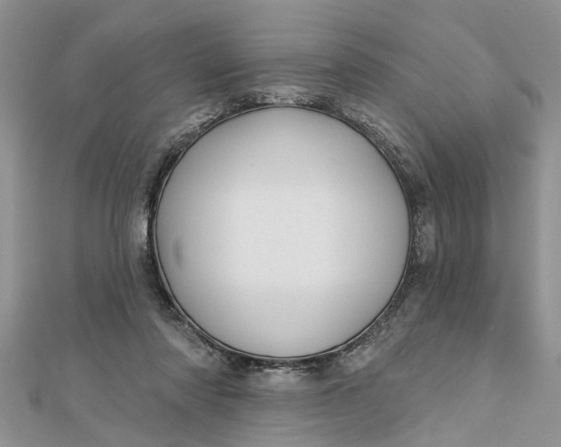 X0000112460310200908311335