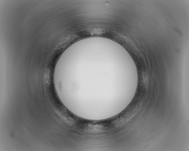 X0000112460311200908311335