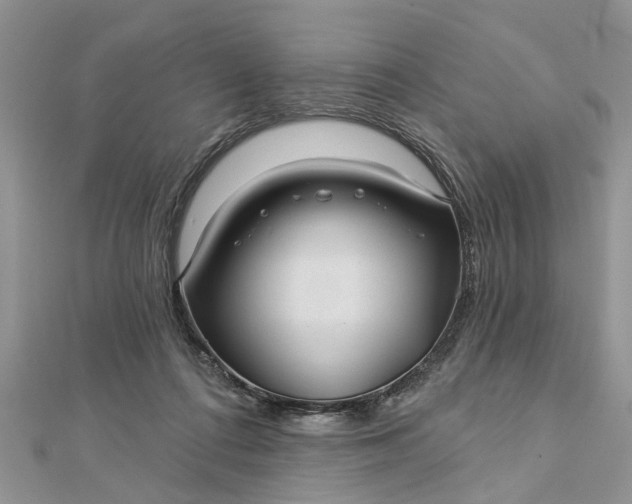 X0000112460312200908311334