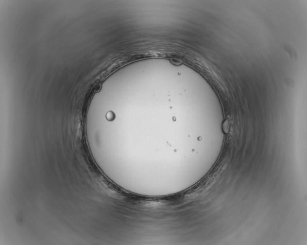 X0000112460313200908311334