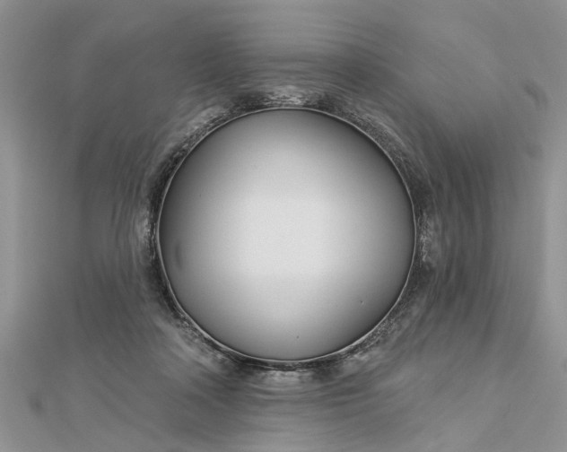 X0000112460314200908311334