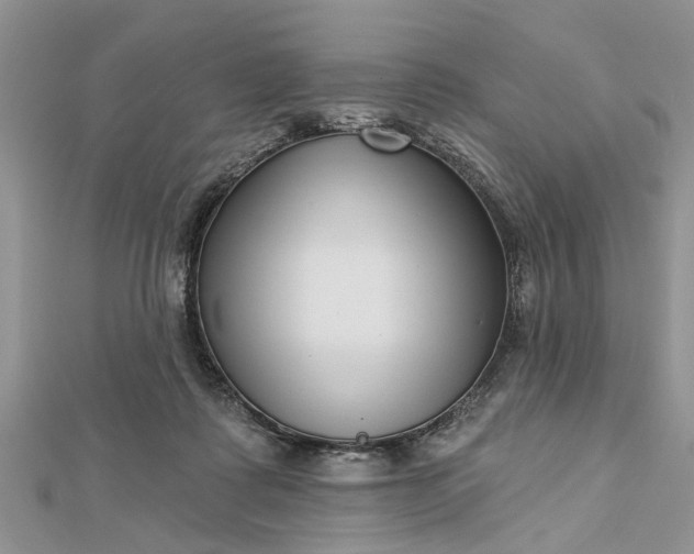 X0000112460315200908311334