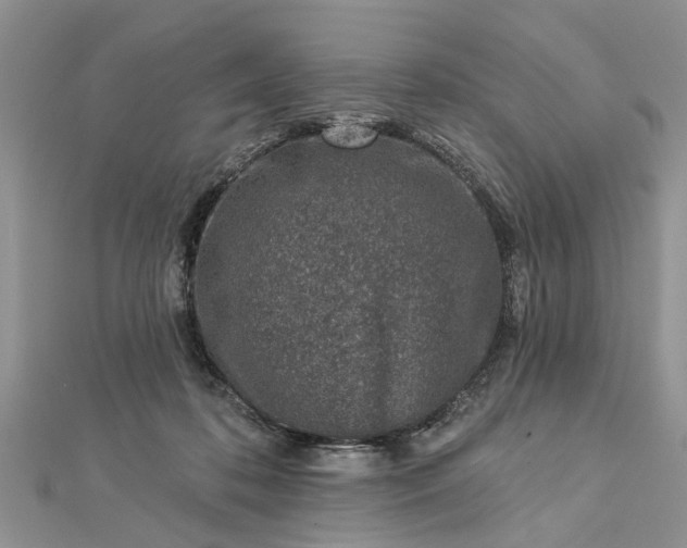 X0000112460316200908311334