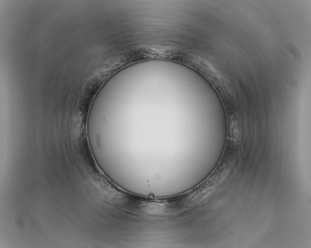 X0000112460318200908311334