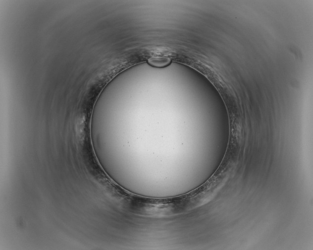 X0000112460319200908311334