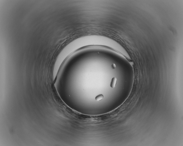 X0000112460320200908311334