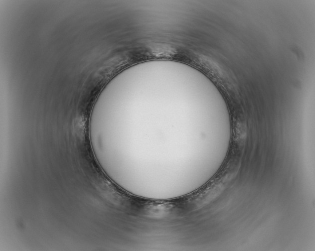 X0000112460321200908311334