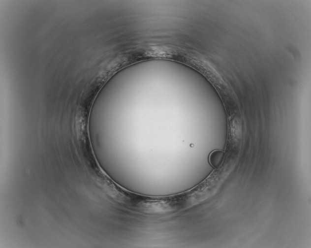 X0000112460322200908311334