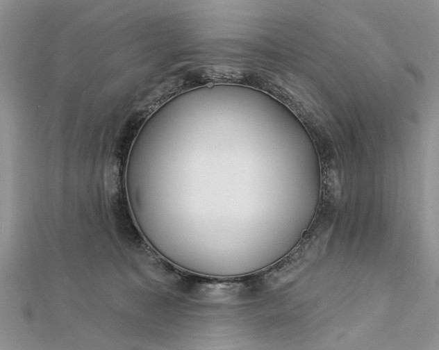 X0000112460323200908311334