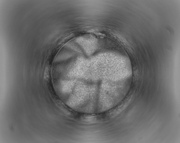 X0000112460325200908311334