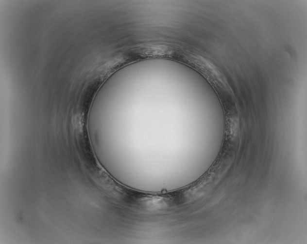 X0000112460326200908311334