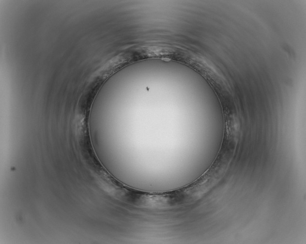 X0000112460327200908311334