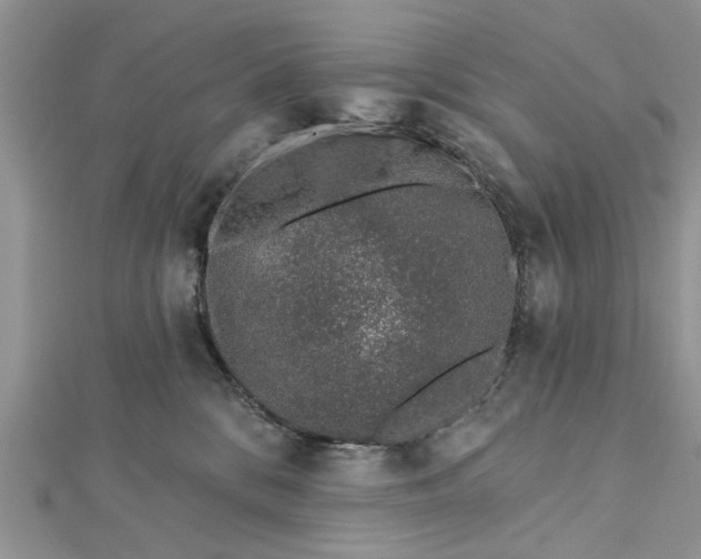 X0000112460328200908311334