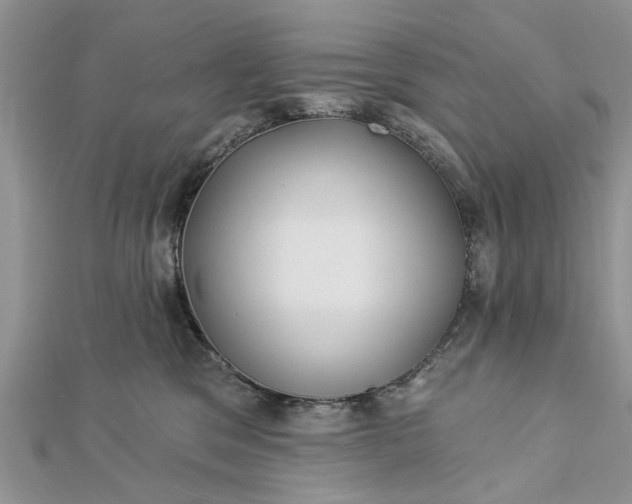 X0000112460329200908311334