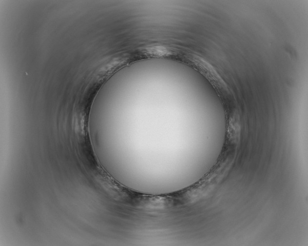 X0000112460330200908311334