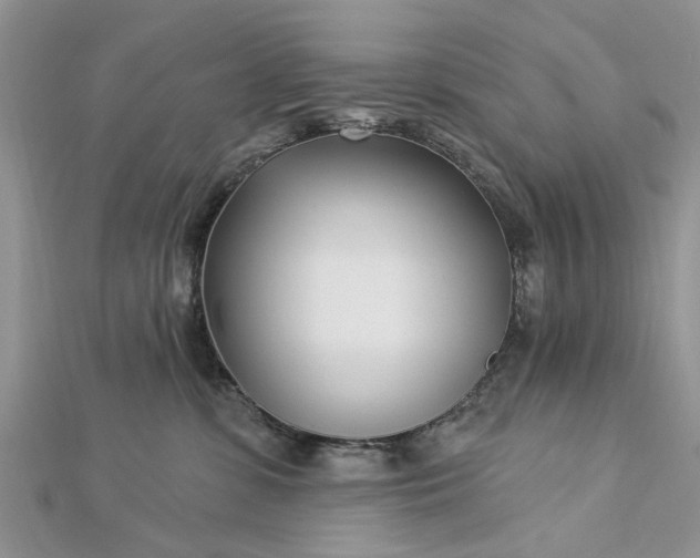 X0000112460331200908311334