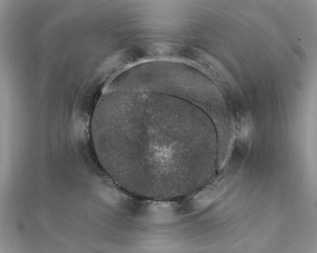 X0000112460332200908311334