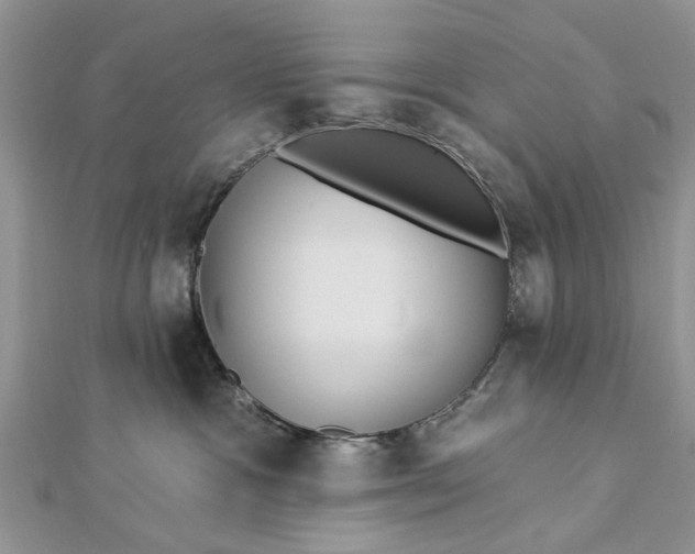 X0000112460333200908311334