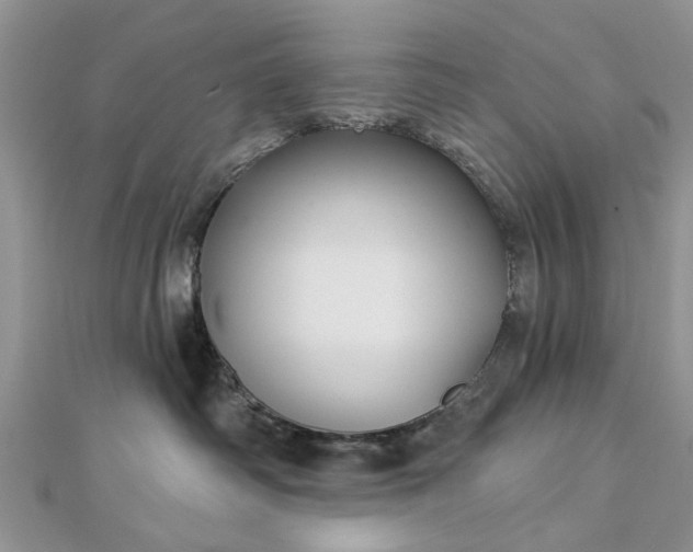 X0000112460334200908311334