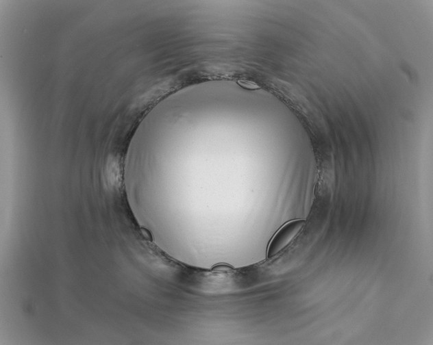 X0000112460335200908311334