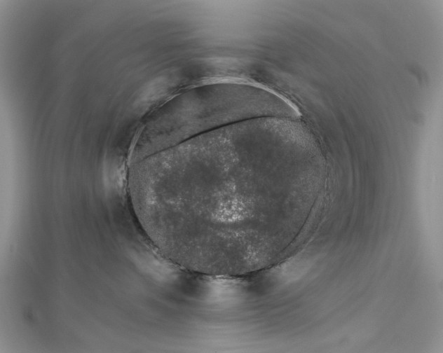 X0000112460336200908311334