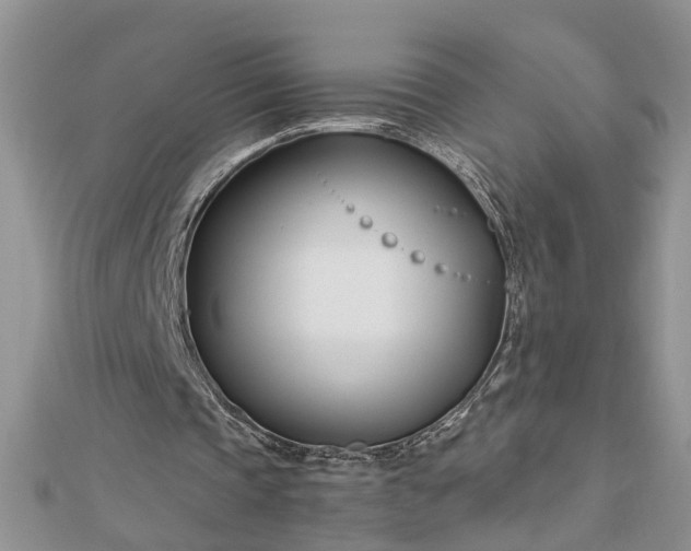 X0000112460337200908311334