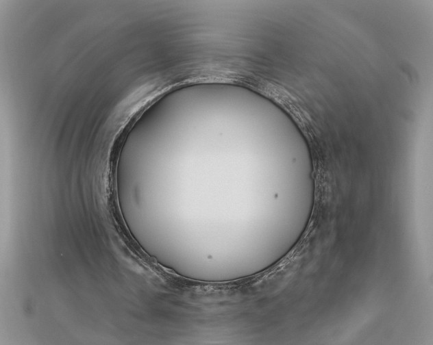 X0000112460338200908311334