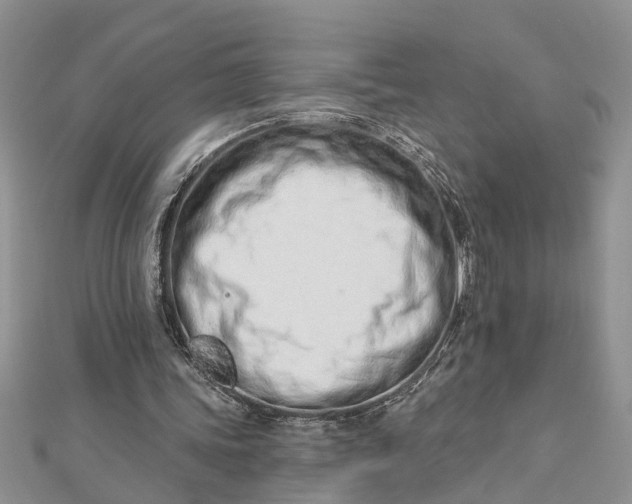 X0000112460339200908311334