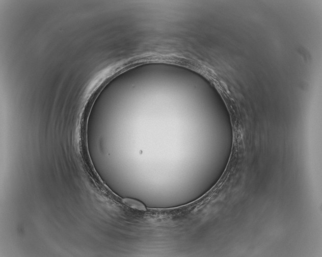 X0000112460340200908311334